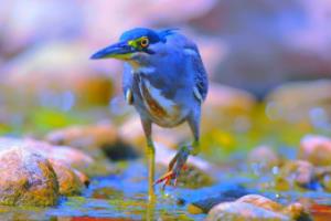 俄罗斯足球波胆,一场跨越时空的下注狂欢俄罗斯足球波胆