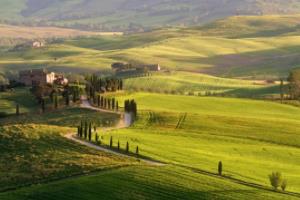 足球投注中的波胆,胜负投注的智慧与策略足球 波胆是什么